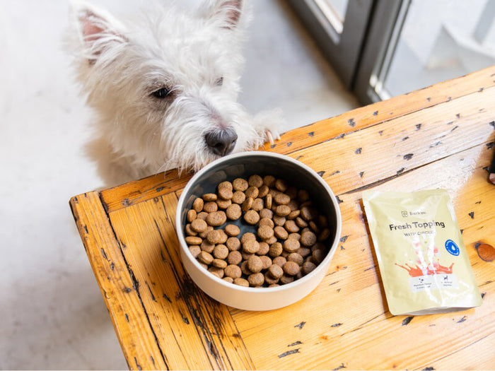 Comida para perros sin cereales – Barkyn